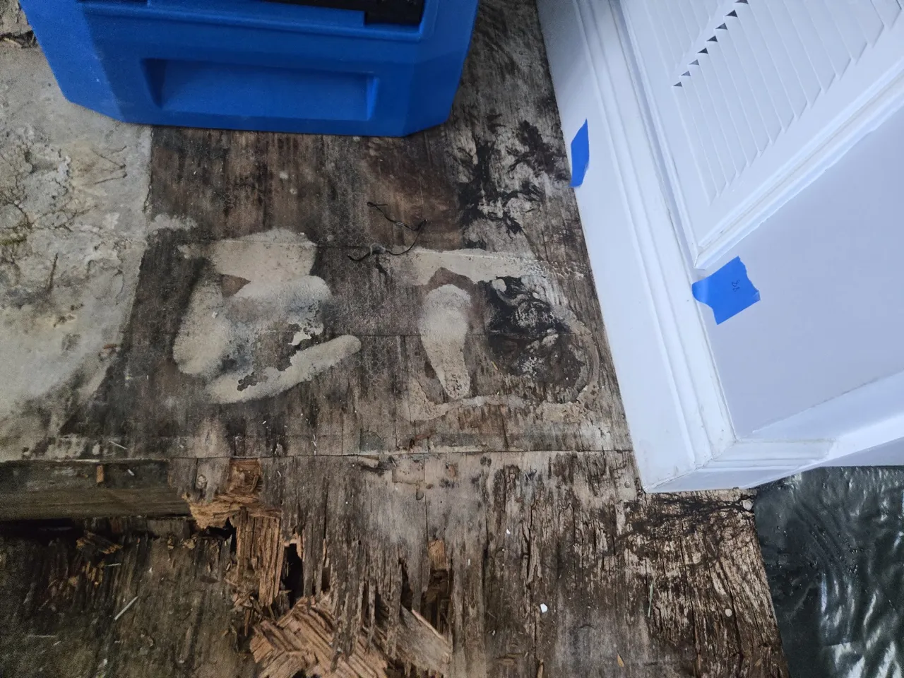 Water-damaged subfloor exposed at a doorway during mitigation